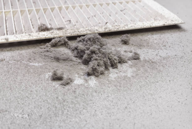 Best Affordable Air Duct Cleaning  in Conehatta, MS