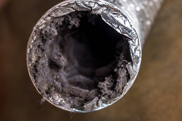 Best HVAC Maintenance and Cleaning  in Conehatta, MS