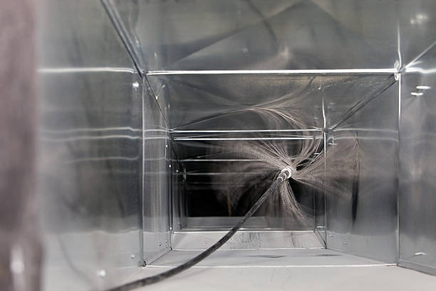 Best Professional Duct Cleaning Services  in Conehatta, MS